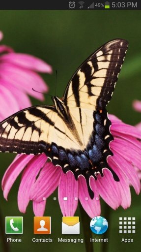 Butterfly HD Live Wallpaper截图6