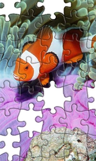 Jigsaw Puzzles Fish截图2