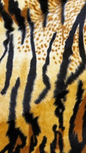 Tiger Print Wallpapers截图4