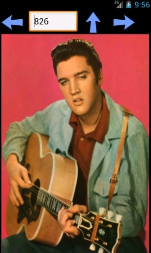 Elvis Presley HD Wallpapers截图1