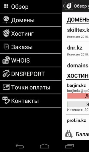 DNR.KZ截图2