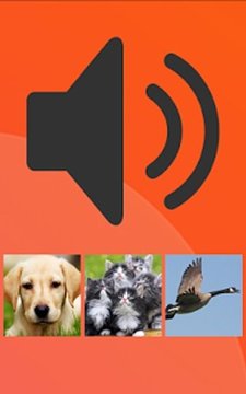 ANIMAL SOUND QUIZ GAME截图