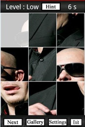 Pitbull Fans Puzzle截图7