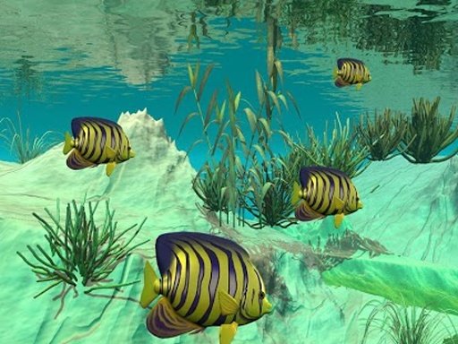 3D Live Fish Wallpaper截图1