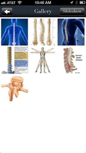 Long Chiropractic截图6