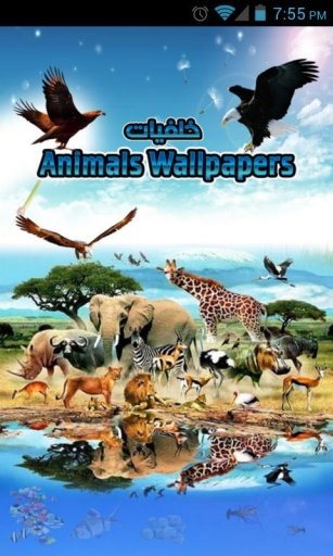 Animals Wallpapers HD截图4