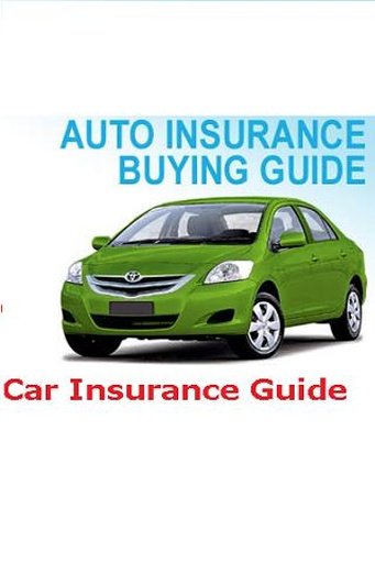 Car Insurance Guide截图1