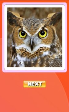 ANIMAL SOUND QUIZ GAME截图