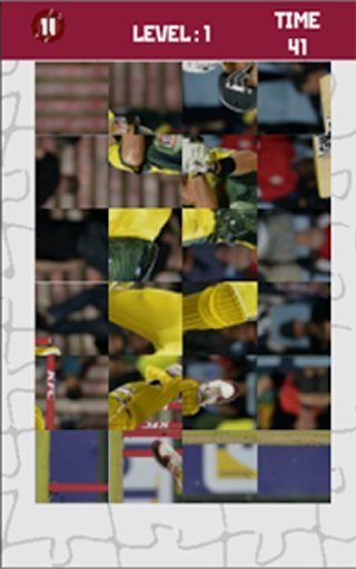 PAIR 'EM : CRICKET Memory Game截图2