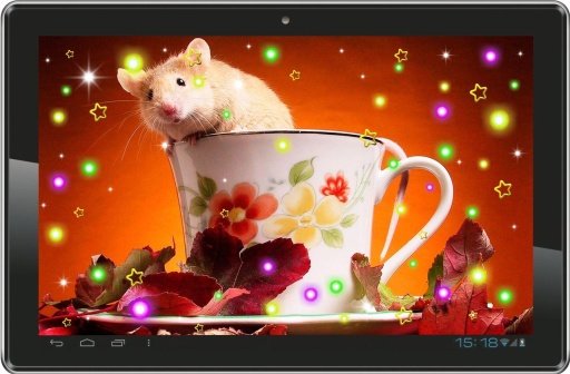 Hamster Pet live wallpaper截图1