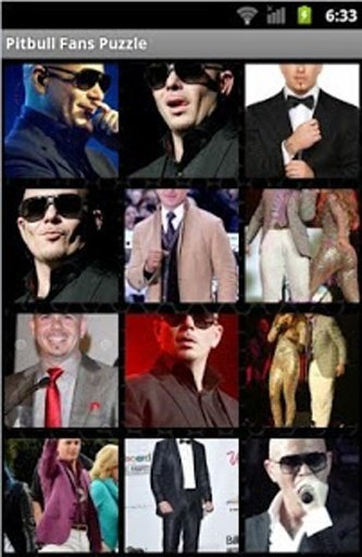 Pitbull Fans Puzzle截图5