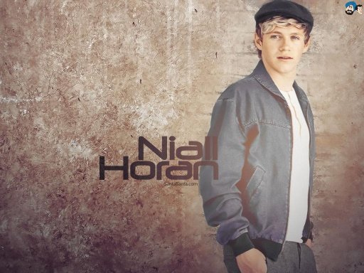 Niall Horan Floppy Birds Game截图1