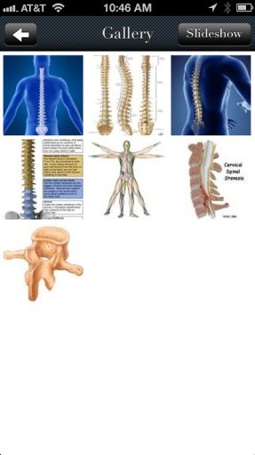 Long Chiropractic截图3