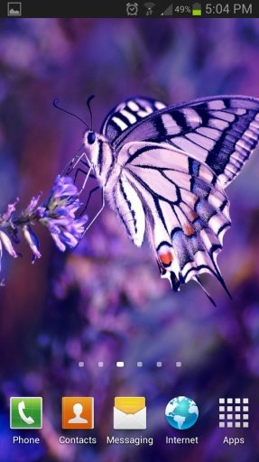 Butterfly HD Live Wallpaper截图1