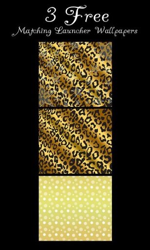 Gold Black Leopard Star Theme截图2