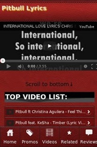 Pitbull Lyrics截图7