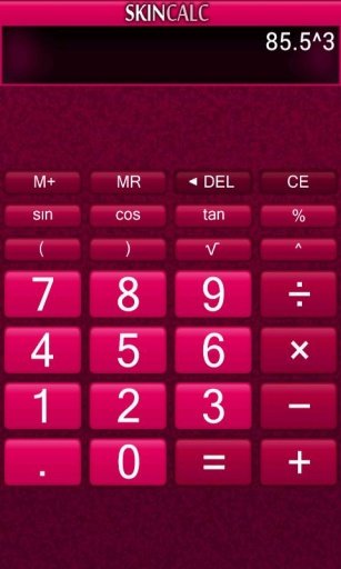 Skin Calculator截图1