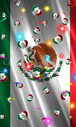 Mexico Flag Heart截图2