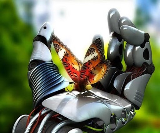 4D Butterfly Live Wallpaper截图1