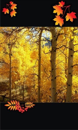 Autumn Poems HD截图3