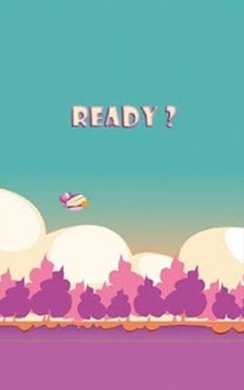 Candy Bird截图