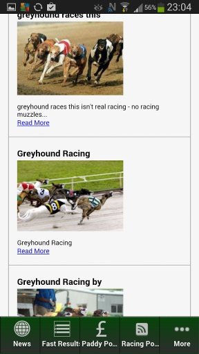 Greyhound Racing News UK截图3