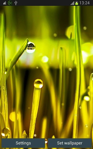 Rain n Grass Wallpaper App截图2