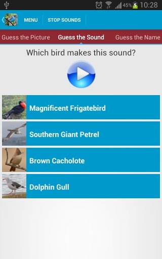 South American Birds Sounds截图6