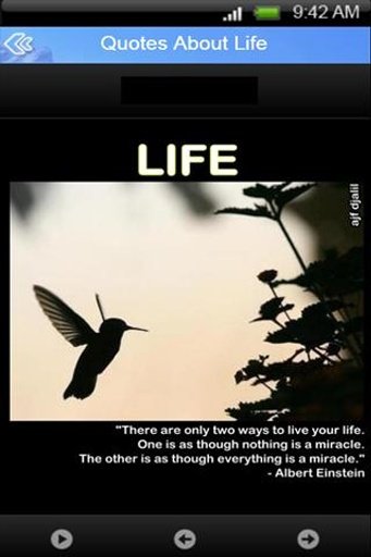 Quotes About Life截图3