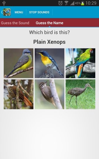 South American Birds Sounds截图1