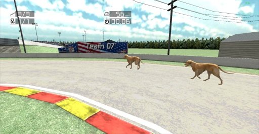 Dog Racing : Labrador截图1