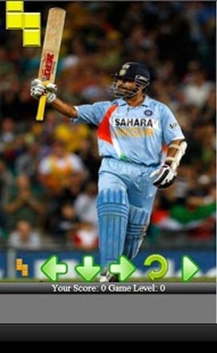 Power Cricket 3D Fever截图6