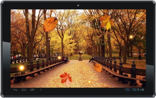 Autumn Streets live wallpaper截图1