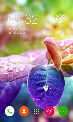 Macro leaves Theme截图2