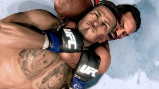 3D MMA Boxe Game截图4