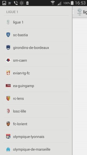 ligue 1截图2