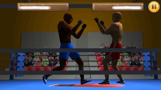 Jeu De Boxe Combat 3D截图1
