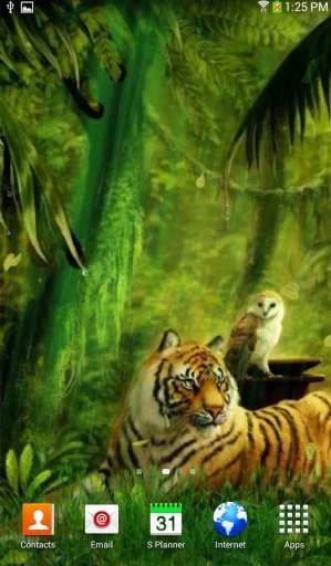 Jungle Tiger Live Wallpaper截图1