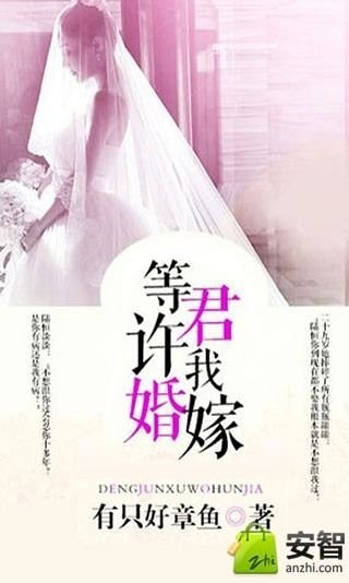 等君许我婚嫁截图2