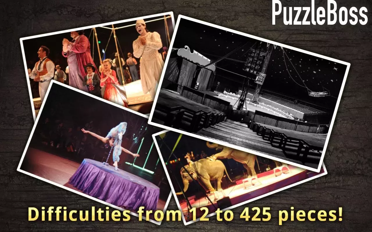 Circus Jigsaw Puzzles FREE截图6