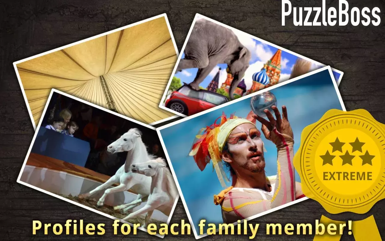 Circus Jigsaw Puzzles FREE截图11