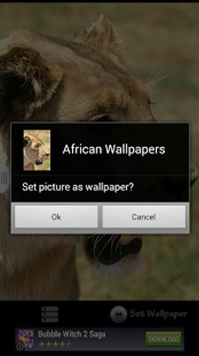 African Wallpapers:Wildlife 1截图4