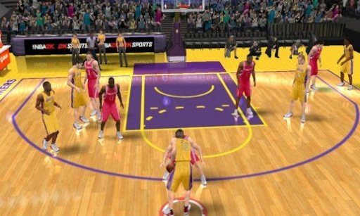 3D Basketball Fever截图4
