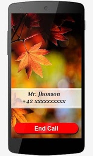 Full Screen Caller Id HD截图6
