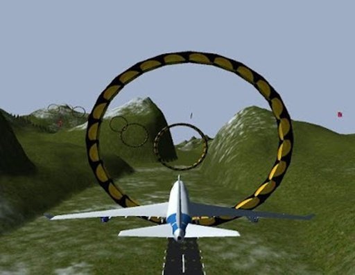 Pilot Flight 3D截图1