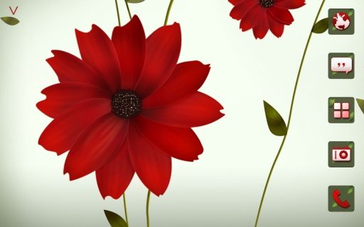 A Flower Atom theme截图1