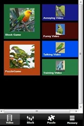 Annoying Talking Parakeet截图2