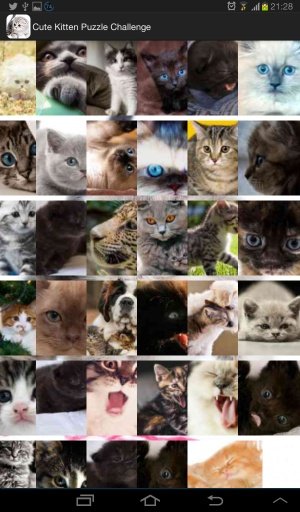 Cute Kitten Puzzle Challenge截图4