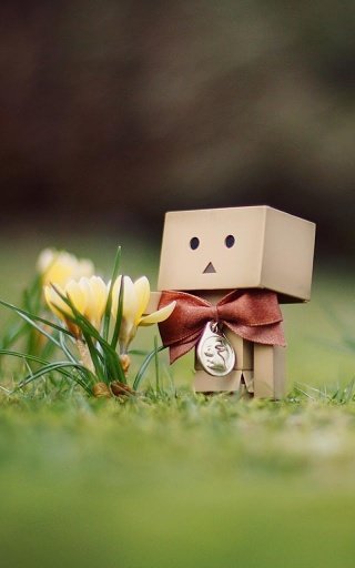 Danbo Live Wallpaper截图3