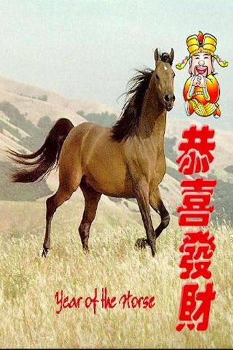 Chinese New Year Greetings截图2